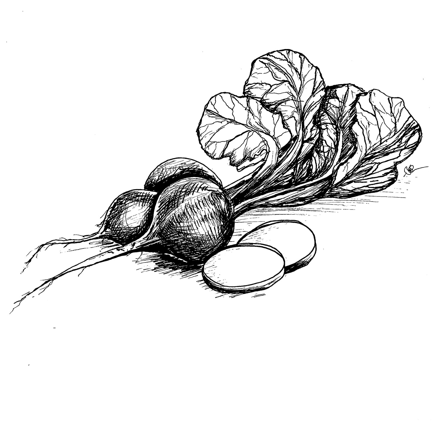 Radish 'Cherry Belle' Seeds