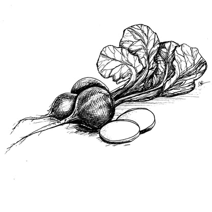 Radish 'Cherry Belle' Seeds