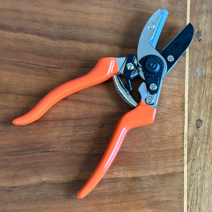 Burgon & Ball RHS Anvil Secateur