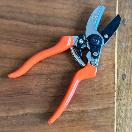 Burgon & Ball RHS Anvil Secateur