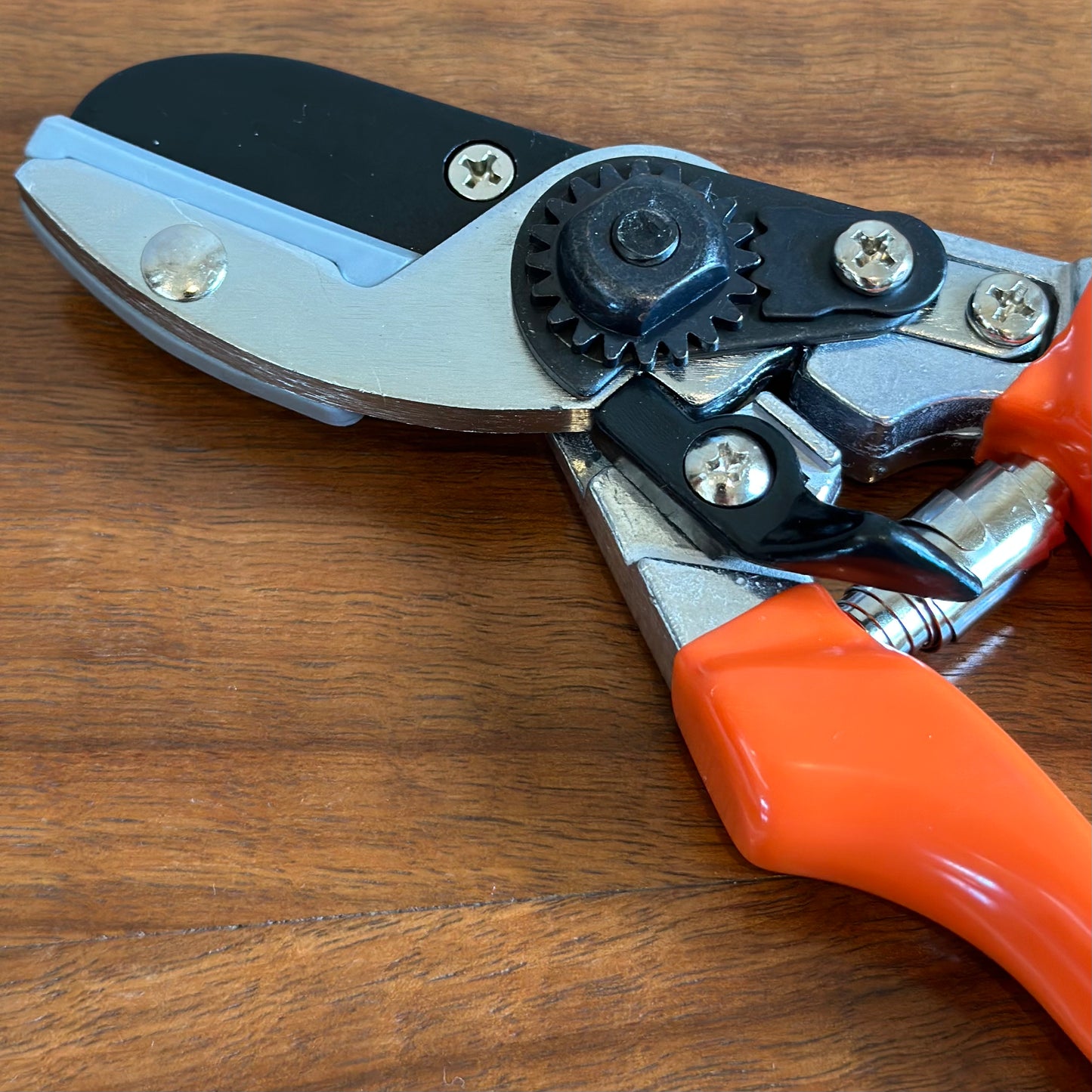 Burgon & Ball RHS Anvil Secateur