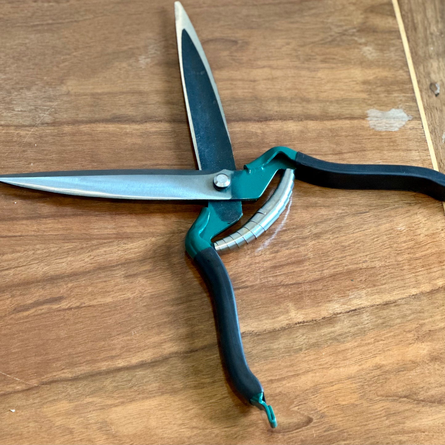 Burgon & Ball RHS Stainless Steel Shrub Shear