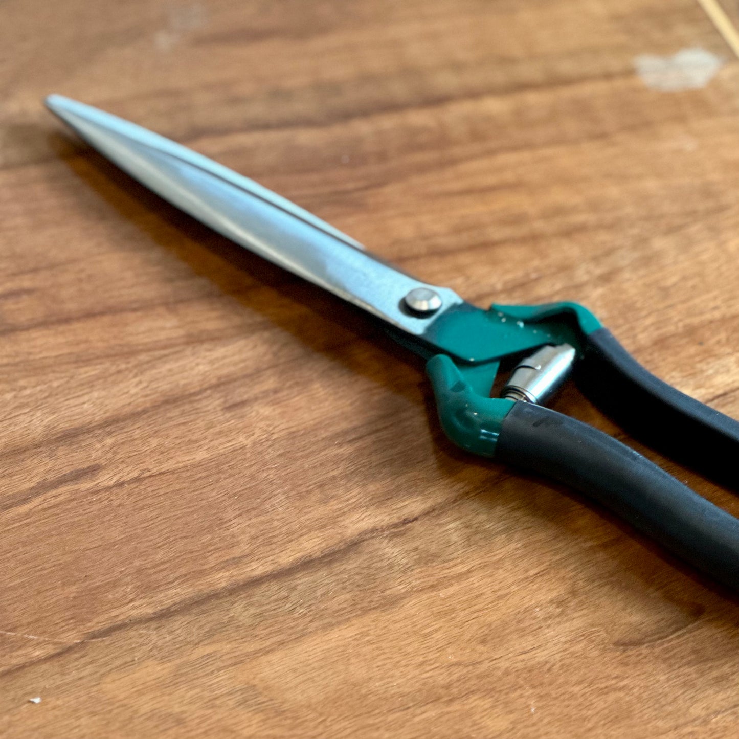 Burgon & Ball RHS Stainless Steel Shrub Shear