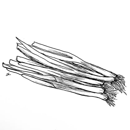 Bunching Onion Winter 'Ishikura' Seeds
