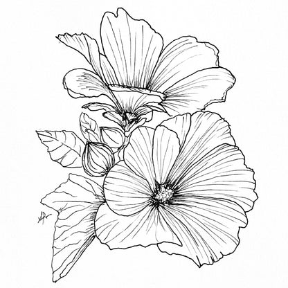 Lavatera Trimestris - Pink Blush Mix Seeds