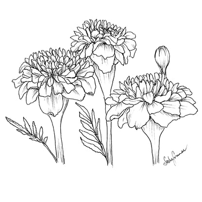 Marigold 'Lemon Drop' Seeds