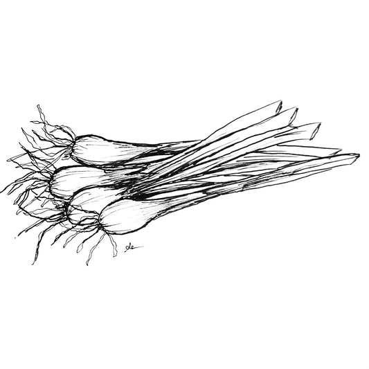Bunching Onion 'Red Beard' Seeds