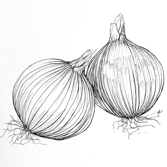 Onion 'Yellow Spanish Early’ Seeds