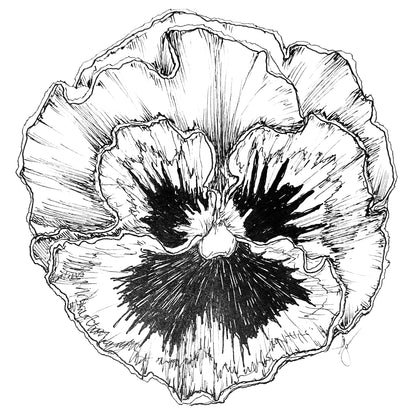 Pansy Rococo Frilled Mix Seeds