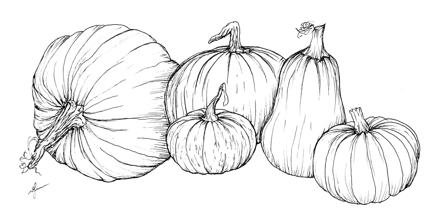 Pumpkin 'Australian Heirloom Mix’ Seeds