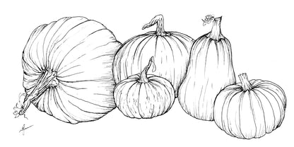 Pumpkin 'Australian Heirloom Mix’ Seeds