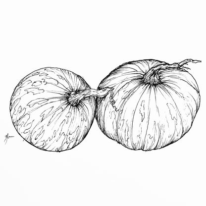Pumpkin 'Bohemian Heirloom Mix’ Seeds