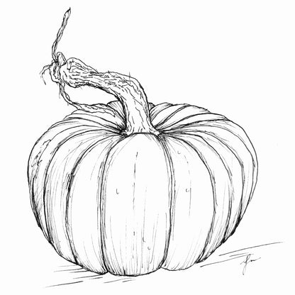Pumpkin 'Queensland Blue’ Seeds