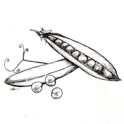 Pea 'Telephone' Seeds