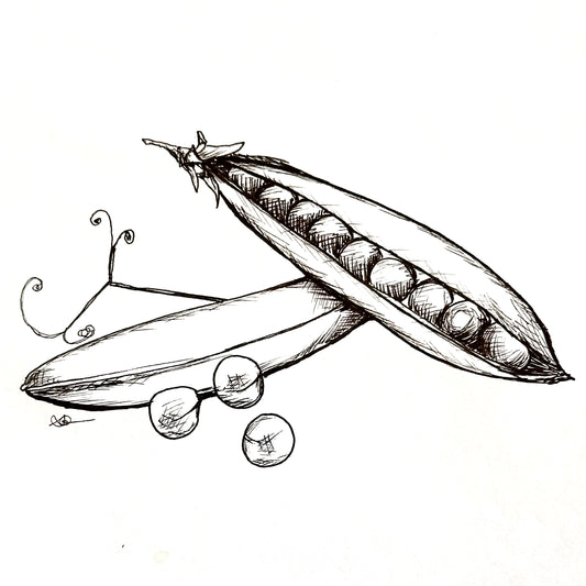 Pea 'Greenfeast' Seeds