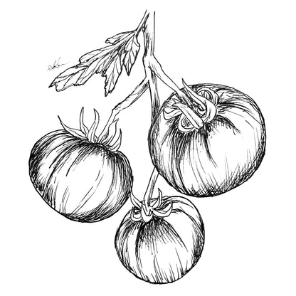 Tomato 'Red and Black' Seeds