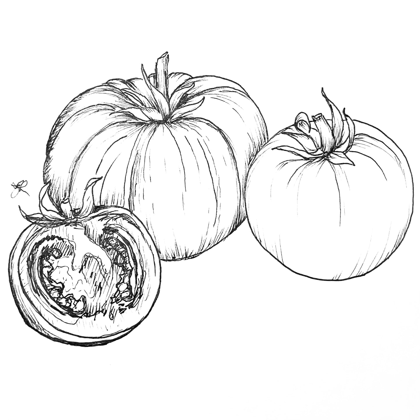 Tomato Heirloom Mixed Seeds