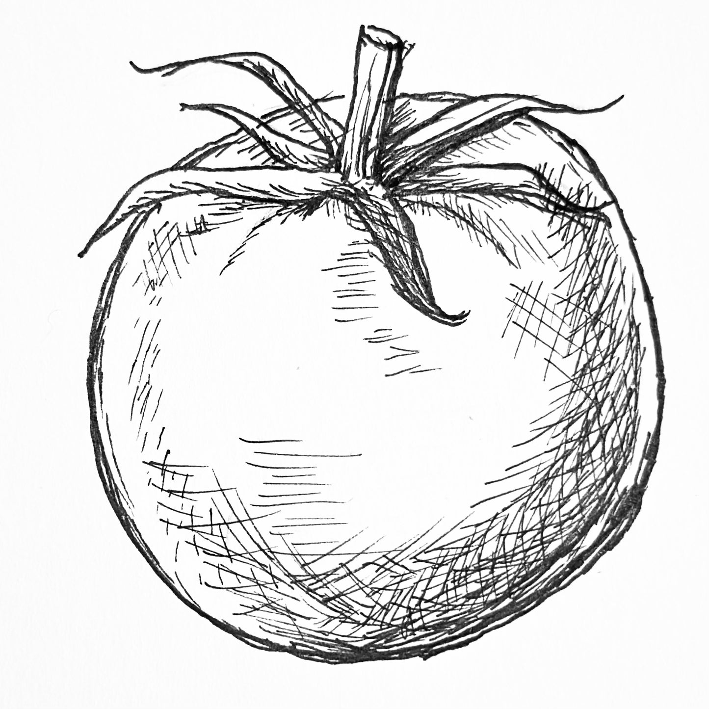 Tomato 'Sweet English' Seeds