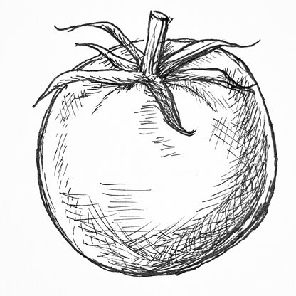 Tomato 'Sweet English' Seeds