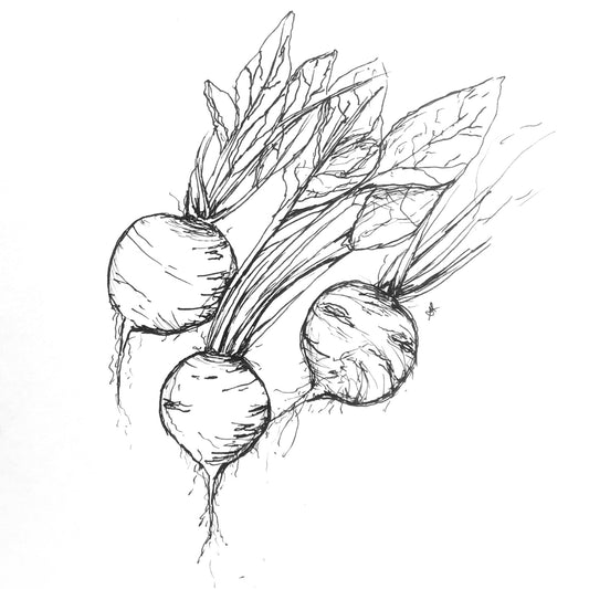 Beetroot 'Bulls Blood' Seeds - Hollyhock Hill