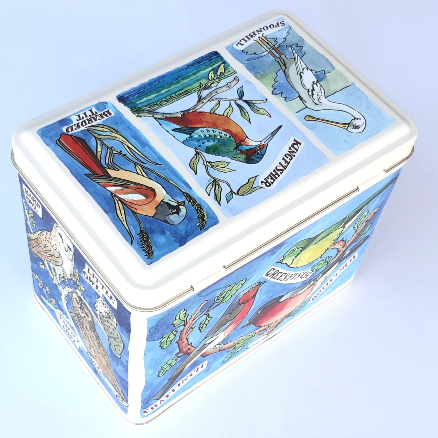 'Bird Families' by Emma Bridgewater Deep Rectangle Tin with Hinged Lid - Hollyhock Hill