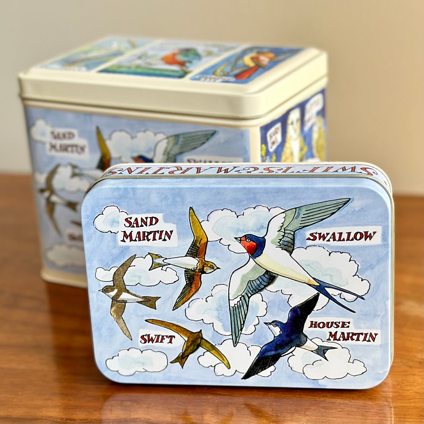 'Bird Families' by Emma Bridgewater Small Rectangle Tin - Hollyhock Hill