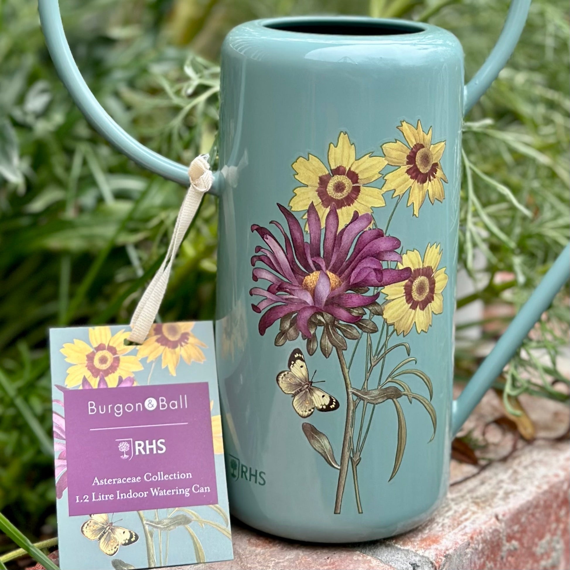 Burgon & Ball RHS 'Asteraceae' 1 Litre Indoor Watering Can - Hollyhock Hill