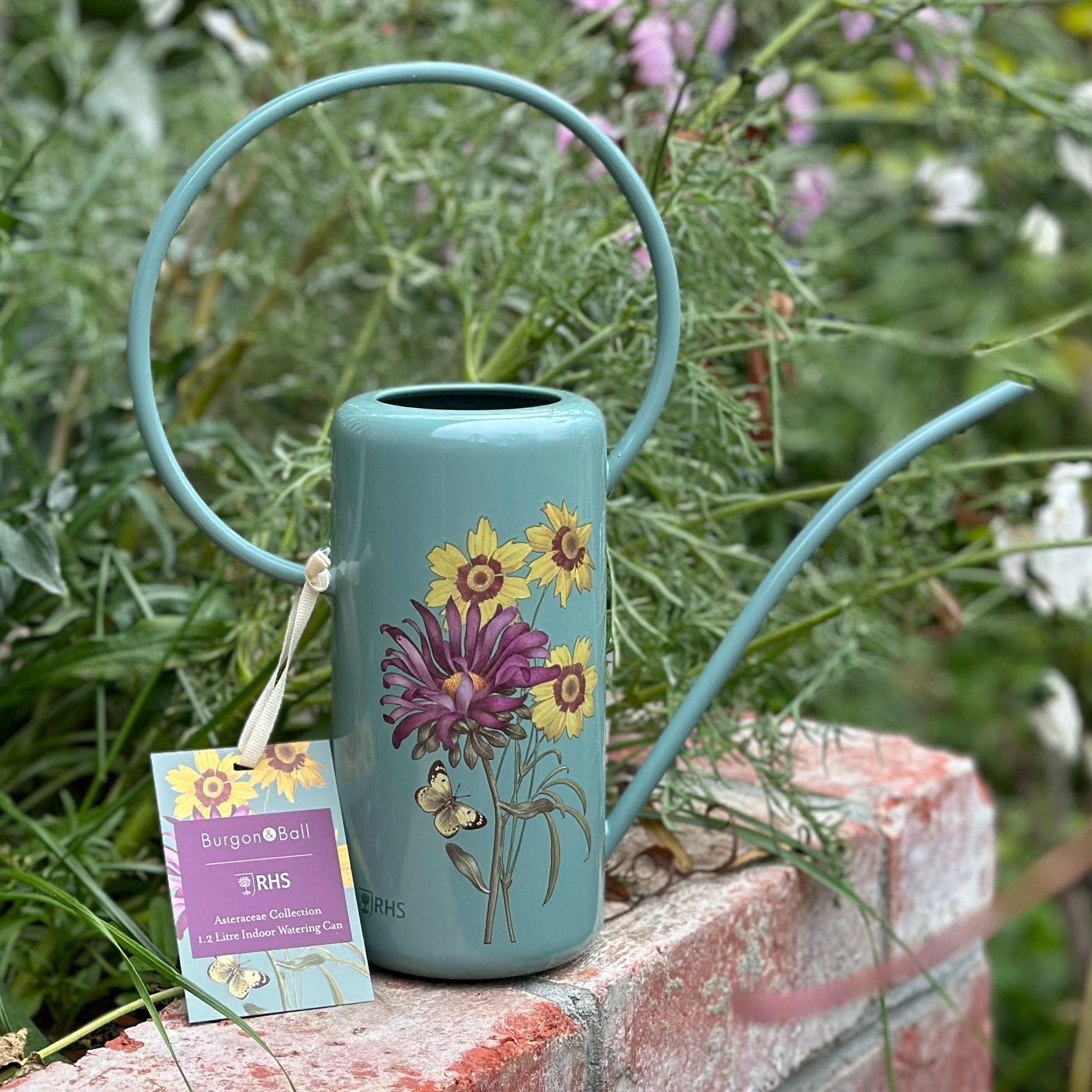 Burgon & Ball RHS 'Asteraceae' 1 Litre Indoor Watering Can - Hollyhock Hill