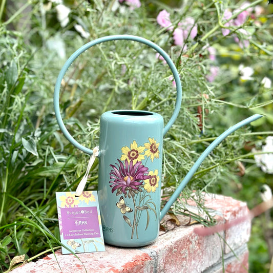 Burgon & Ball RHS 'Asteraceae' 1 Litre Indoor Watering Can - Hollyhock Hill