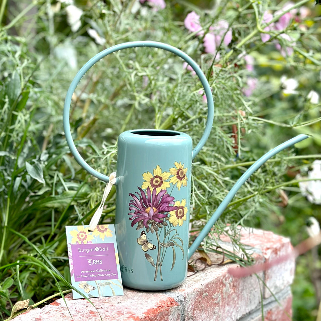 Burgon & Ball RHS 'Asteraceae' 1 Litre Indoor Watering Can - Hollyhock Hill