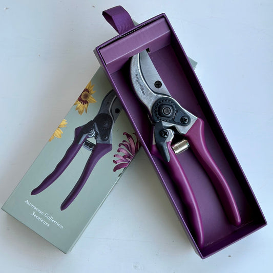Burgon & Ball RHS Asteraceae Collection Secateurs - Hollyhock Hill