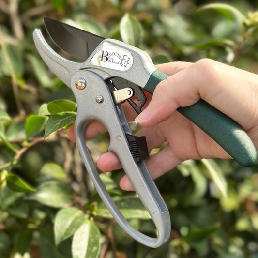 Burgon & Ball RHS Ratchet Pruner - Hollyhock Hill