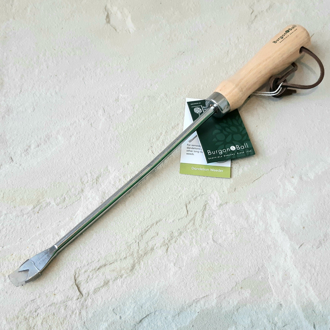 Burgon & Ball RHS Stainless Steel Dandelion Weeder - Hollyhock Hill