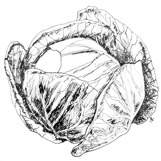 Cabbage 'Mini' Seeds - Hollyhock Hill