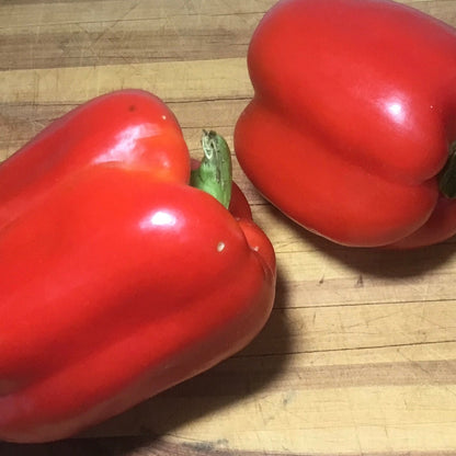 Capsicum 'Californian Wonder' Seeds - Hollyhock Hill