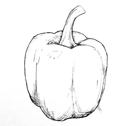 Capsicum 'Californian Wonder' Seeds - Hollyhock Hill