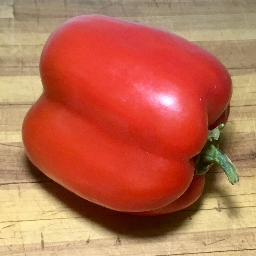 Capsicum 'Californian Wonder' Seeds - Hollyhock Hill