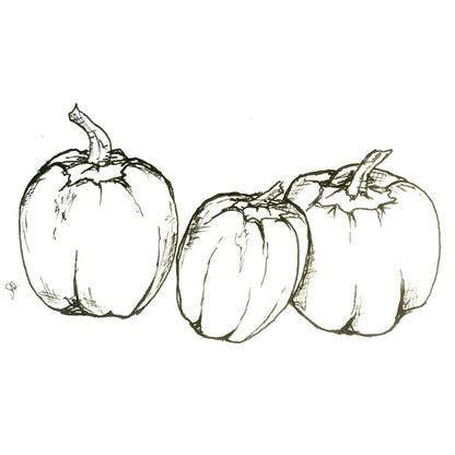Capsicum 'Mini Belle' Seeds - Hollyhock Hill