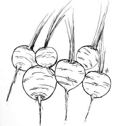Carrot 'Paris Market' Seeds - Hollyhock Hill