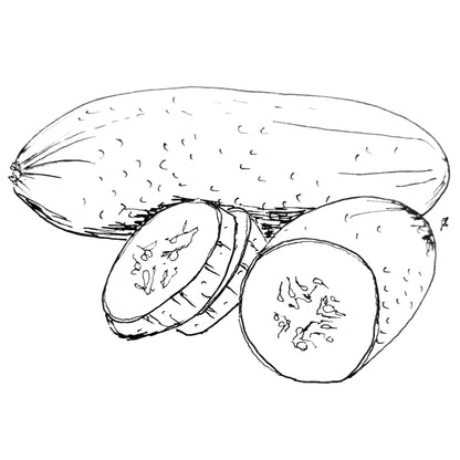 Cucumber 'National Pickler' Seeds - Hollyhock Hill