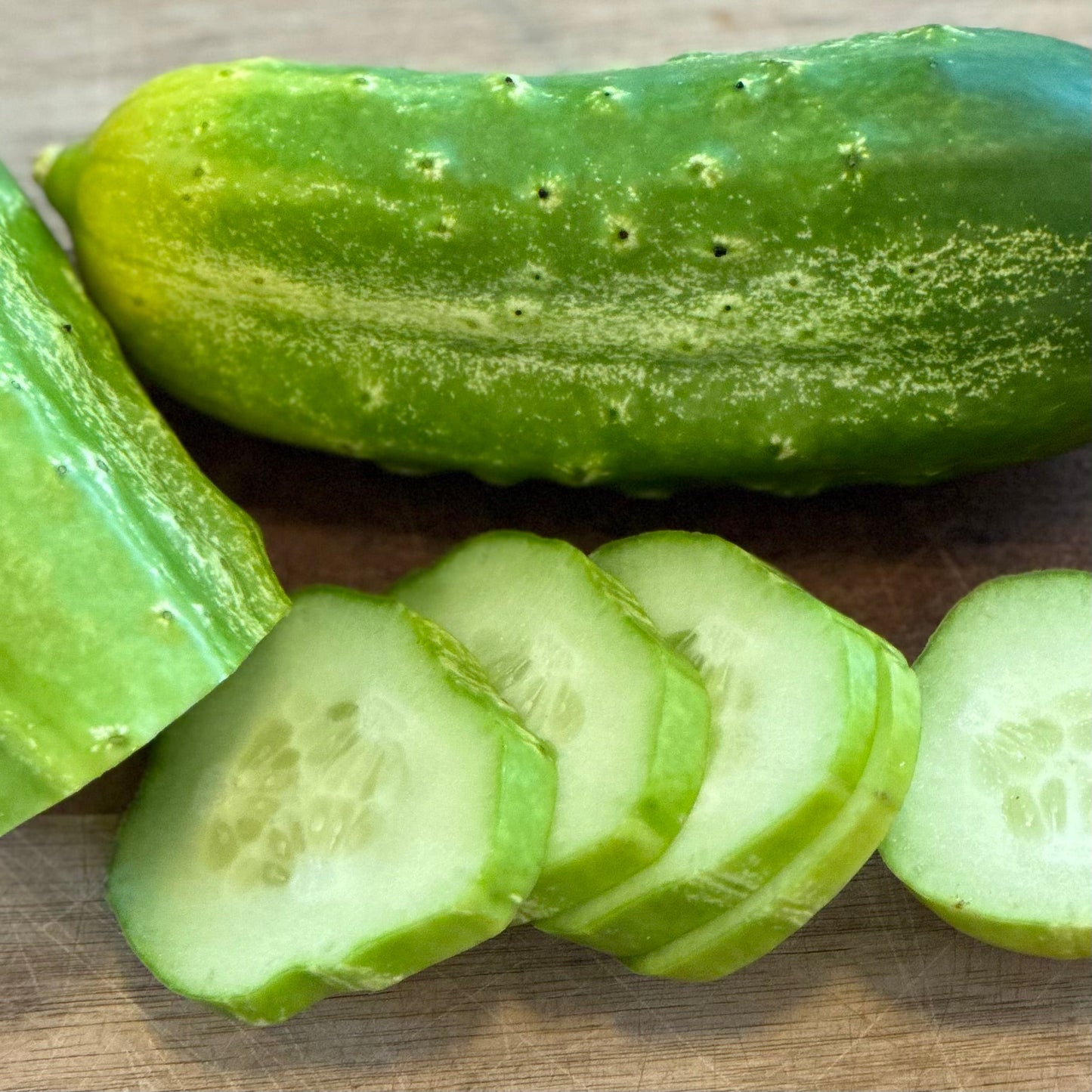 Cucumber 'National Pickler' Seeds - Hollyhock Hill
