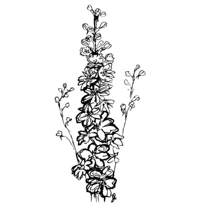 Delphinium Pacific Giant 'Black Knight' Seeds - Hollyhock Hill