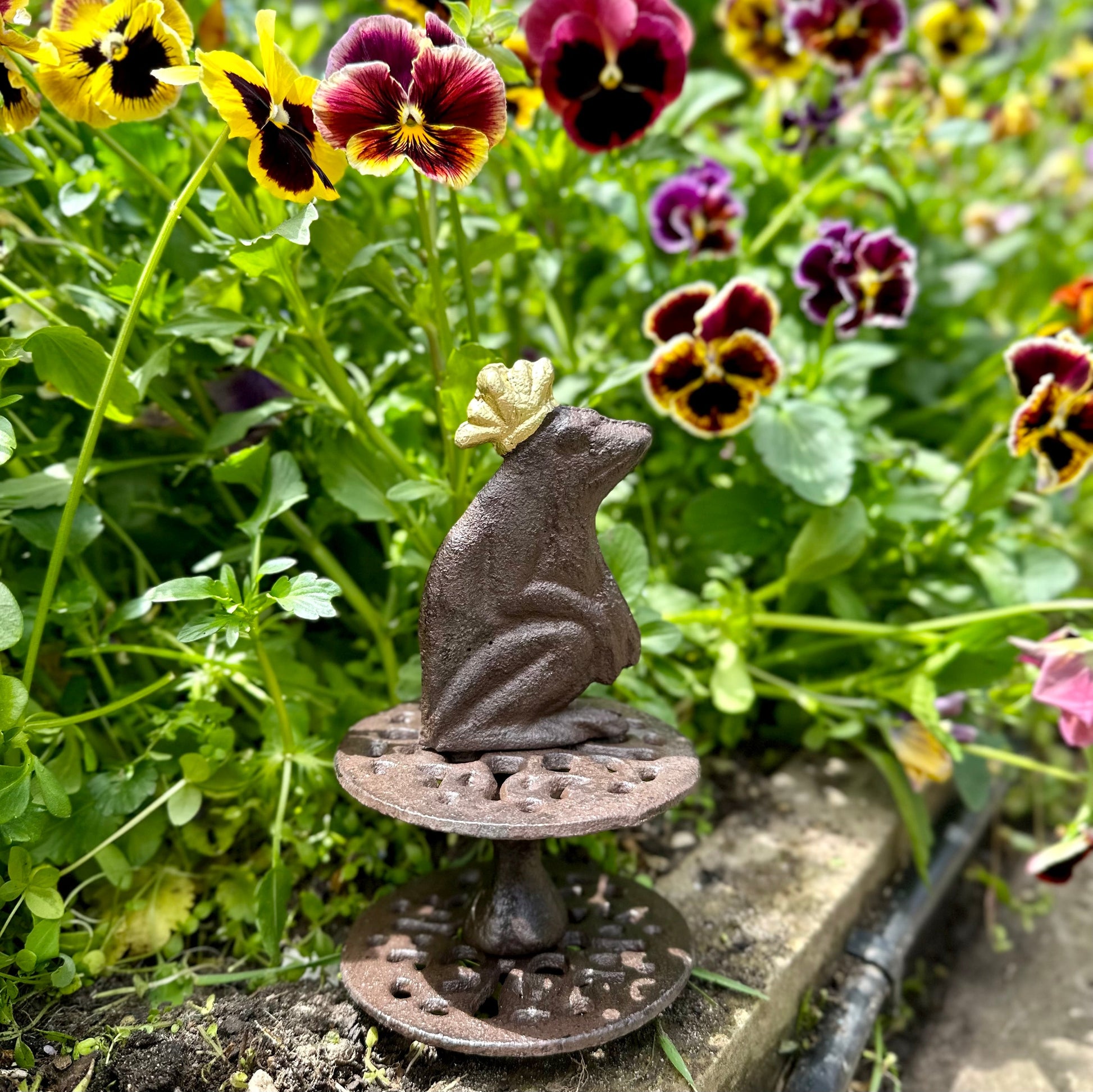 Esschert Design Cast Iron Hose Guide - The Frog Prince - Hollyhock Hill