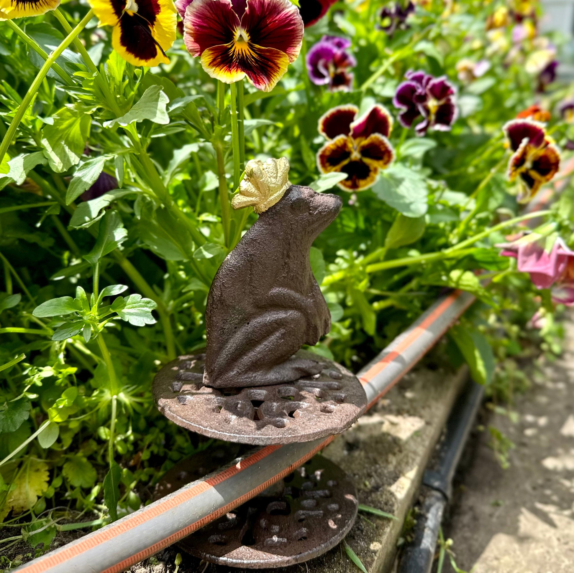 Esschert Design Cast Iron Hose Guide - The Frog Prince - Hollyhock Hill