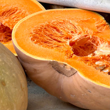 Load image into Gallery viewer, Pumpkin &#39;Australian Butter&#39; Seeds - Hollyhock Hill
