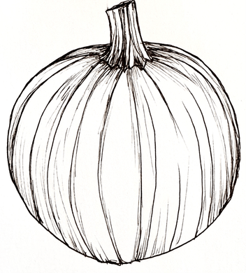 Pumpkin ‘Small Sugar’ Seeds - Hollyhock Hill