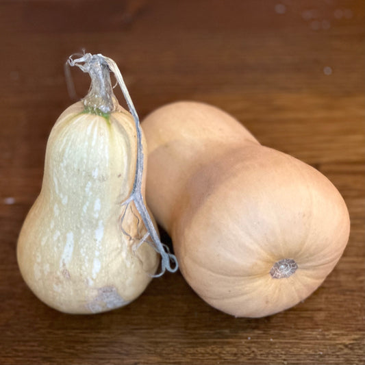 Pumpkin 'Waltham Butternut' Seeds - Hollyhock Hill