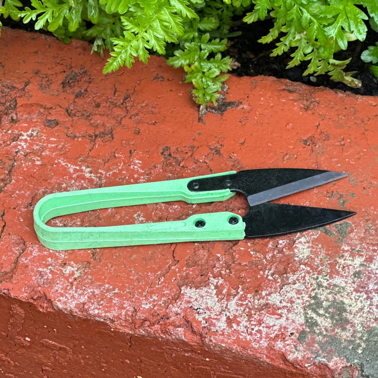 Ryset Mini Shears - Hollyhock Hill