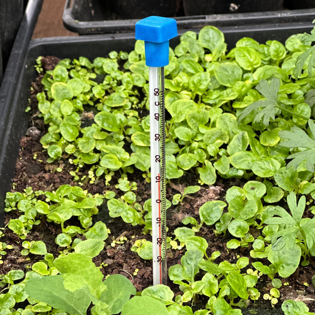 Ryset Propagating Thermometer - Hollyhock Hill