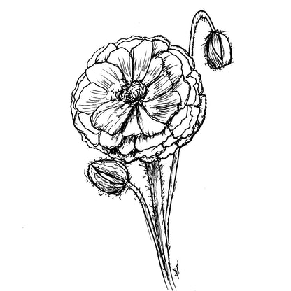 Shirley Poppy Double Mix Seeds - Hollyhock Hill